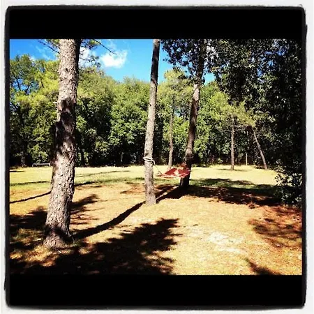 Yellowstone In Chianti E Pool Farm stay *