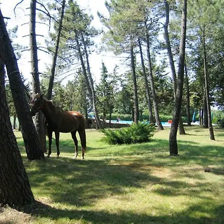 Yellowstone In Chianti E Pool Farm stay