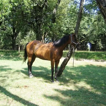Yellowstone In Chianti E Pool *