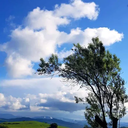 Yellowstone In Chianti E Pool Farm stay *