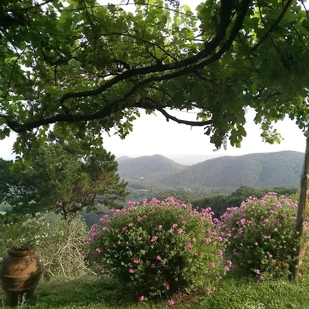 Farm stay Yellowstone In Chianti E Pool *